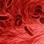 Blood Cells