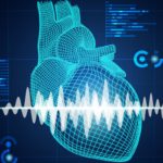 Digital heart