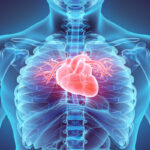 cardiovascular