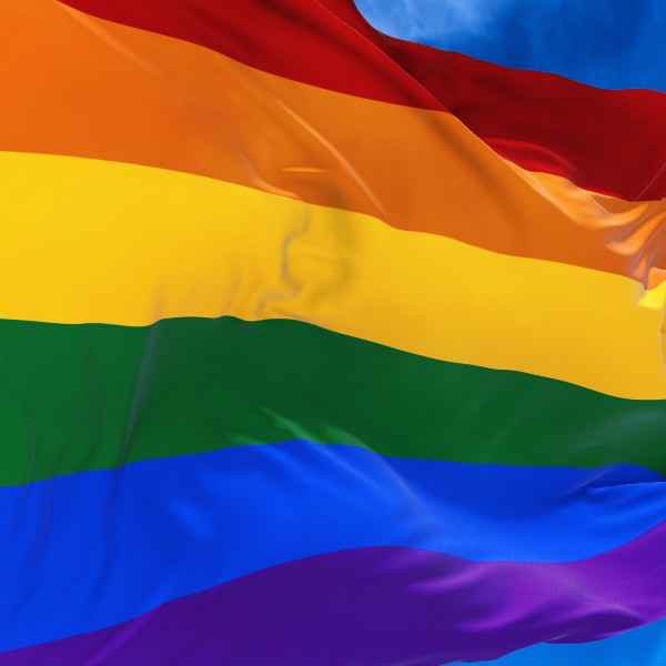 The LGBTQ+ Flag.